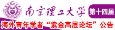 啊嗯啊大鸡吧网站南京理工大学第十四届海外青年学者紫金论坛诚邀海内外英才！